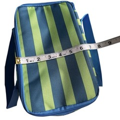 Trader Joe’s 2026 Blue and Green Striped Mini Insulated Bag