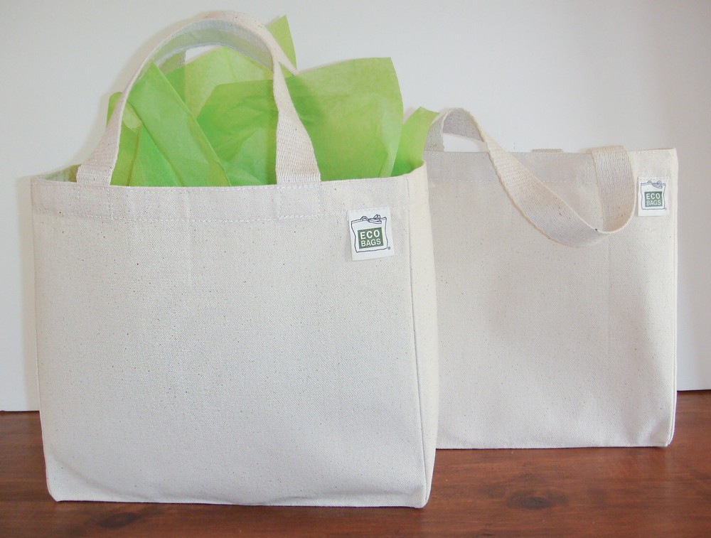 2 Pack, Small Recycled Cotton Canvas Tote Gift/Lunch Bags, 10″x9″x3.5″