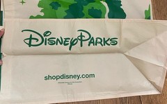 Disney Parks Animal Kingdom Reusable Shopping Tote Green White Recycled Plastic