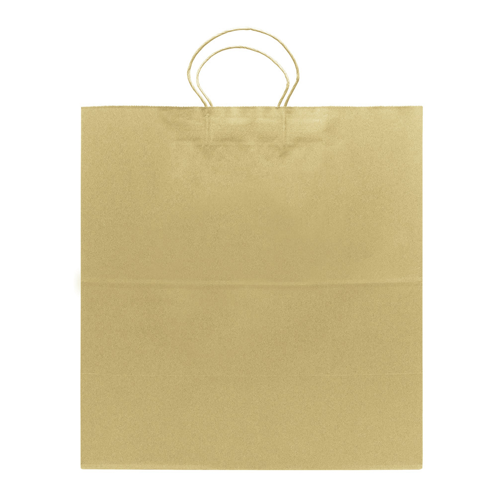 Karat Newport Paper Shopping Bag with Twisted Handles – 150 ct, FP-SB140