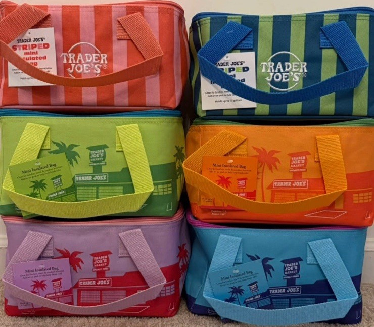 Trader Joe’s Summer Mini Insulated Tote Bag Zipper Striped 1.5 gal 10x6x6 all 6