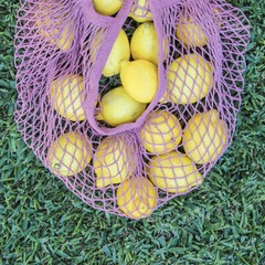 Mesh Net Turtle Bag String Shopping Bag Reusable Fruit Storage Handbag Totes