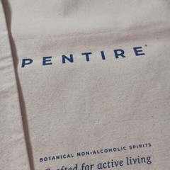 2 Pack 16.5″ X 15″ Canvas Bag “Pentire”