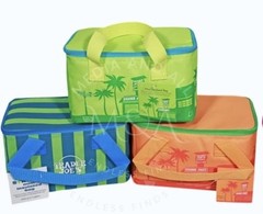 Trader Joe’s 2026 Mini Insulated Tote Choose One Fast Ship