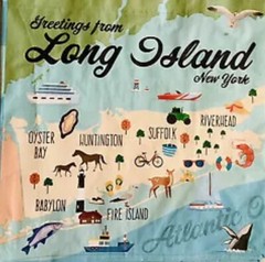 Reusable Shopping Tote Bag Long Island New York Map Waterproof Ships FAST!