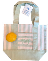 Set of 4–Trader Joe’s Summer Stripes Mini Canvas Totes– one of each color!