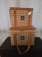 Aldi Insulated Collapsible Box Bag Tote Orange Gingham NEW