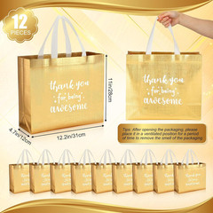 Sanwuta 12 Pcs Cna Week Appreciation Gift Bag with Handle for Nurse Graduation E