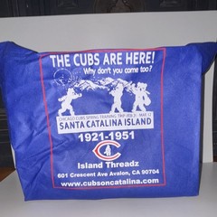 Santa Catalina Island Chicago Cubs Reusable Tote Bag Blue Graphic Print 12x12x6