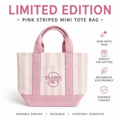 Trader Joe’s Mini Tote Bag Pink Striped Canvas Summer 2026 | NWT | Fast Ship!