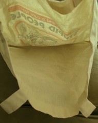 Port Authority Lets Find A Cure For Stupid People The World Of Science Tote