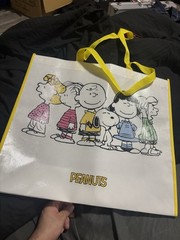 Peanuts Gang New Reusable Shopping Bag Grocery Travel Bag 19.5″x17.5″x7.25″