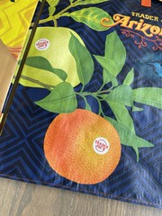 Trader Joes Recycled Arizona Reusable Shopping Bags Totes Set Of 2 New