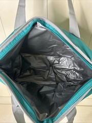Publix Insulated Cooler Shopping Tote Reusable Bag – Teal Blue 20″