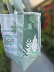 Made To Order – Hand-Painted Trader Joe’s Striped Mini Green — Tropical Plants