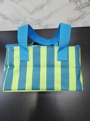 Trader Joe’s Mini Insulated Cooler Tote Bag Summer 2026 Stripe Blue Green