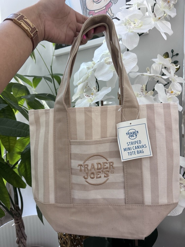 Trader Joe’s Striped Mini Canvas Tote Bag Beige Tan 13x6x11 in New