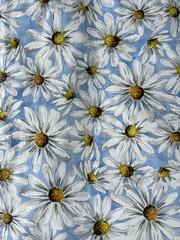 🌼DAISIES 🌼 Flower Reusable Shopping Bag Tote 17.5″x19.5″ Blue & White