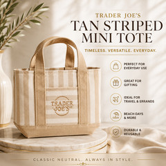 🔥 WEST COAST SHIP • Trader Joe’s Tan Mini Tote The Classy Color