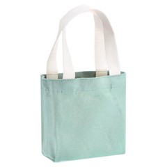 Women’s Small Canvas Bag, 7x2x6″ Canvas Bags, Light Green for