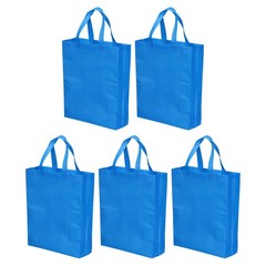 10 Pack Reusable Gift Bag, DIY Blank Non-Woven Tote Bags(Sky Blue, 38 x 30cm)