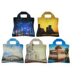 Reusable Grocery Bags, Set of 5, Multicolored Travelling, TP Series