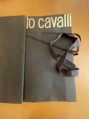 Roberto Cavalli Reusable Paper Shopping Bag Gift Rope Handle 17.5x 15.5×6”,new