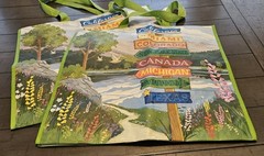 NEW Lot of 2 XL TJ Maxx Reusable Shopping Gift Bags Popular Destinations Eco