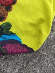 Trader Joe’s By Special Appointment Green Tote Reusable Bag Woman Fruit USA