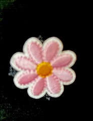 Trader Joe’s One Mini Bag Embroidery Special 6 Flower 2 Honeybee 🐝