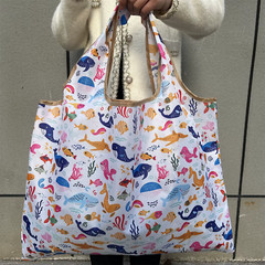 H Foldable Shopping Bag – Bag Reusable & Portable