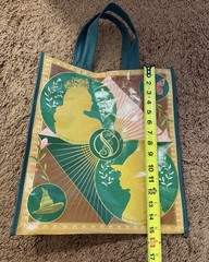 NWOT Wicked Reusable Tote Bag Glinda Elphaba Butterfly Floral Green Handles