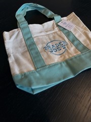 TRADER JOES Mini Canvas Tote Bag Limited Edition Pastel Mint Green Turquoise