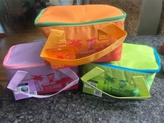 Lot of 3 Trader Joes mini insulated bag – Green, orange, purple