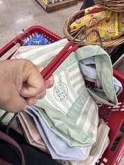 Trader Joe’s Small Canvas Tote Bag Green/White Striped 13x6x8 in New