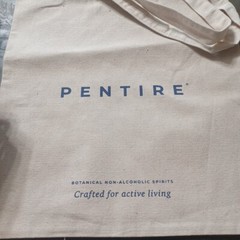 16.5 X 15″ Reusable Canvas Bag Pentire Bag
