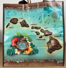 Hawaiian Islands Shopping Tote Hawaii Gift Bag Green Reusable Shopper Tropical