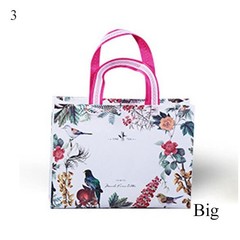 Water-Resistant Non-Woven Fabric Shopping Bag Reusable Tote Pouch for Women