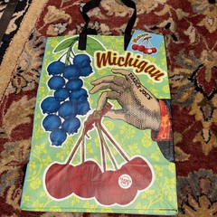 Trader Joe’s Michigan Reusable Shopping Grocery Bag – 6Gal