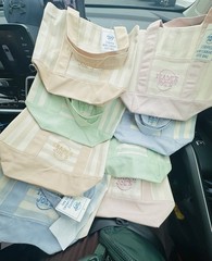 Trader Joe’s Striped Mini Canvas Tote Bag Multicolor 13x6x10 in New set of 4