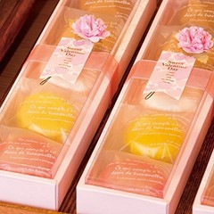 Heads BKF-TO2 Food-Safe Bags Made in Japan Semi-Transparent OPP Bags with Tape
