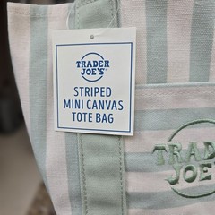 Trader Joe’s Limited Mini Canvas Pastel Striped Tote Bag 2026 Seafoam Green