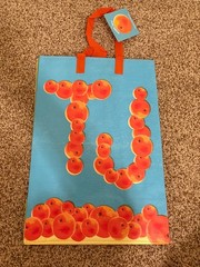 Trader Joe Mystery Bag Florida Reusable Grocery Shopping Bag New With Tag