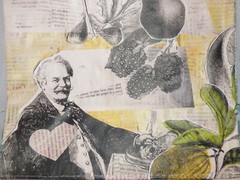 Trader Joe’s – Reusable Grocery Bag – Fearless Flyer