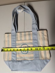 Trader Joes Mini Tote Bag Blue Canvas Pastel Spring Pocket Cotton NWT