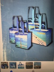 Keep Cool Florida Reusable Bags 4Pack L & x L Beach Scene & 7 Mile Bridge NEW