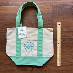 Trader Joe’s mini spring tote bag in light green (13 x 10 inches)—NWT