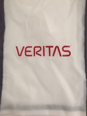 Veritas Gray & White Small Reuseable NEW LUNCH SHOPPER TOTE Bag for Gym Lunch