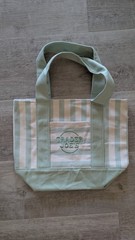 Brand New Trader Joe’s Mini Tote Bag In Pinstripe light Green!!! Out Today!!