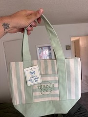 Trader Joe’s Striped Mini Canvas Tote Bag Seafoam Green 2026 Limited Edition